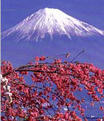 fuji-j.jpg (21408 bytes)